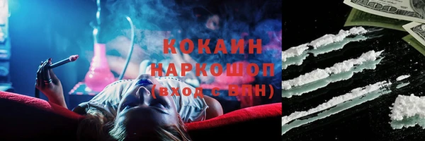 гашик Алексеевка