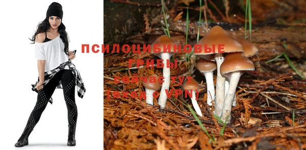 соль курить ск Алексин