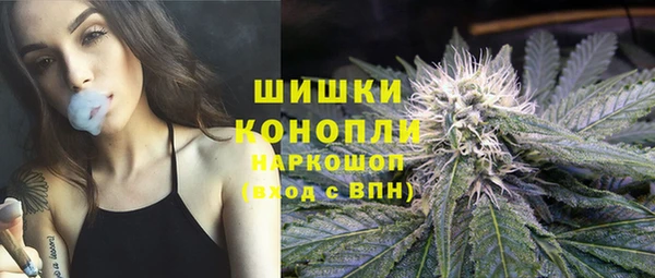 гашик Алексеевка