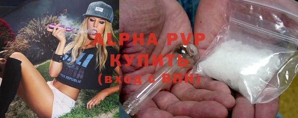 гашик Алексеевка