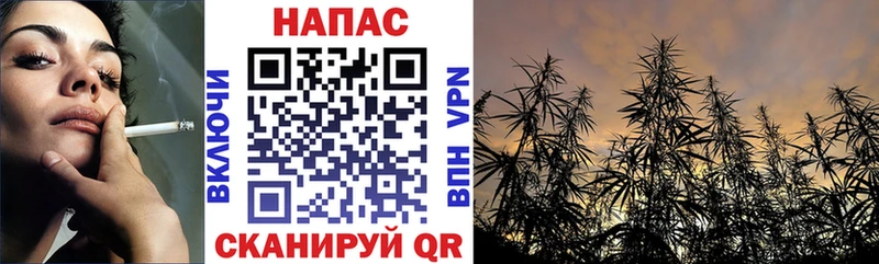 Марихуана OG Kush  кракен маркетплейс  Елизаветинская  купить наркотики сайты 